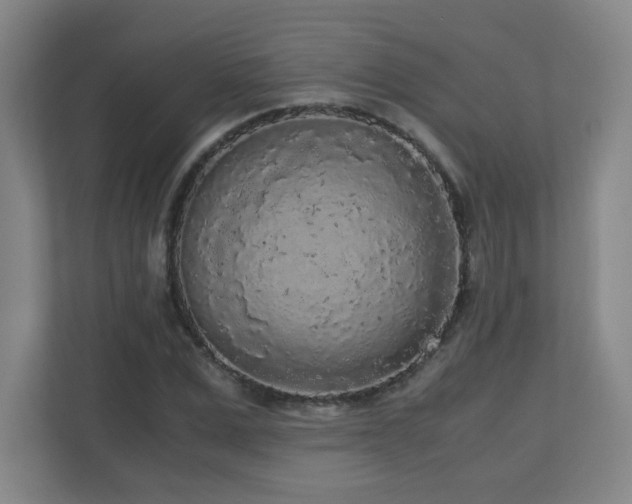 X0000110950975200906191247