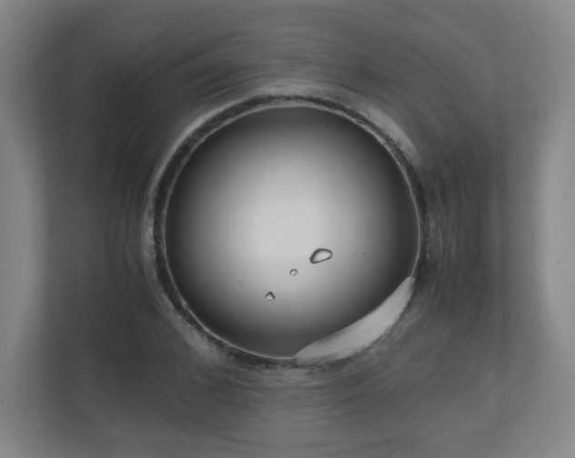 X0000110950976200906191247