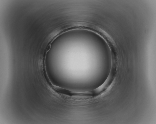 X0000110950977200906191247