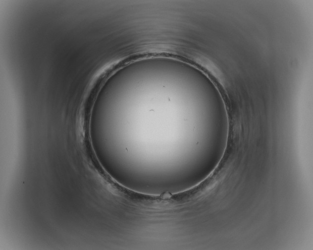 X0000110950979200906191247