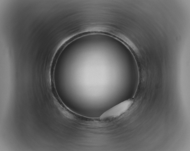 X0000110950980200906191247