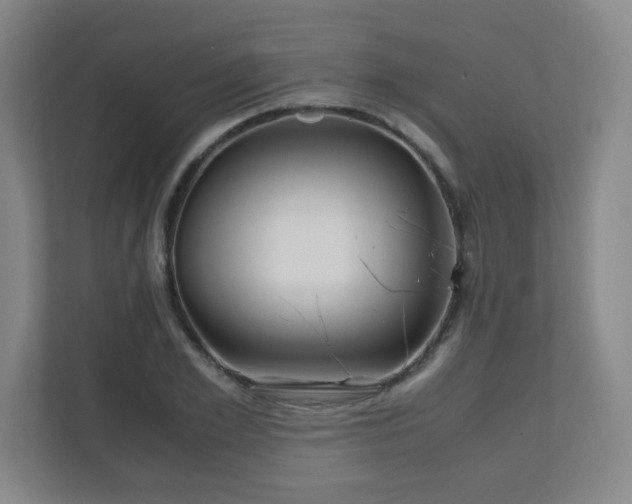 X0000110950981200906191247