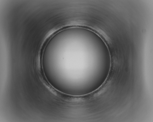 X0000110950982200906191247