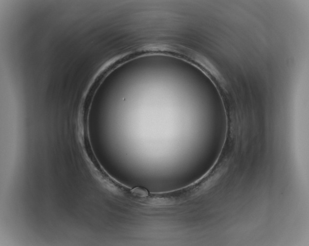 X0000110950984200906191247