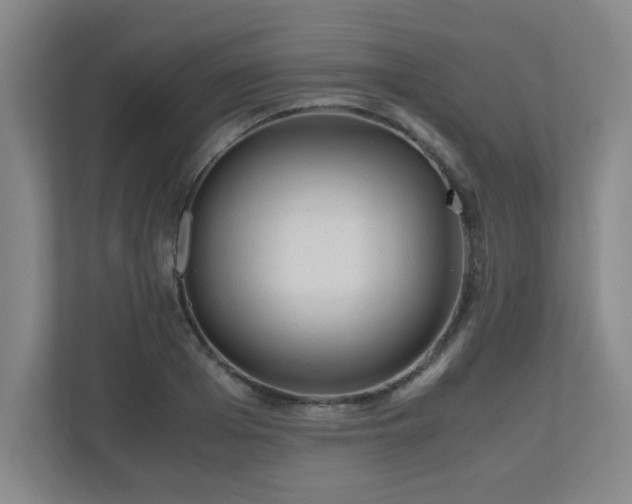 X0000110950985200906191247