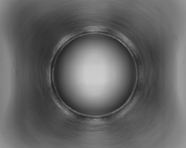 X0000110950986200906191247