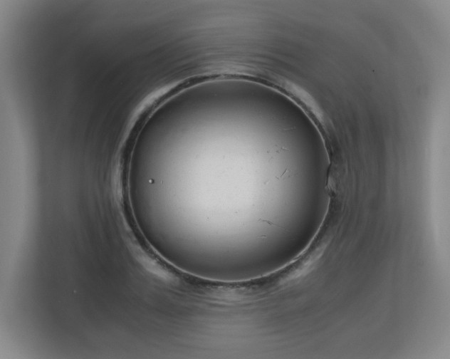 X0000110950987200906191247