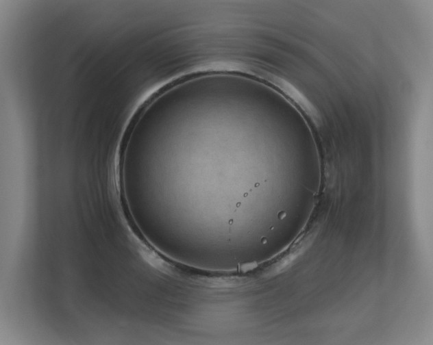 X0000110950988200906191247