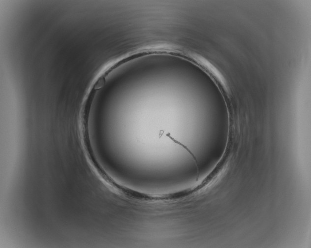 X0000110950989200906191247
