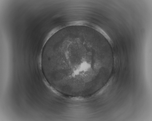 X0000110950994200906191247