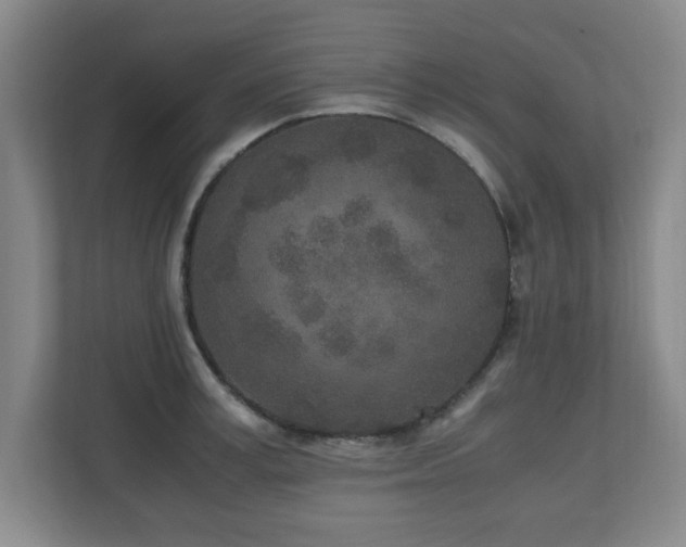 X0000110950995200906191247