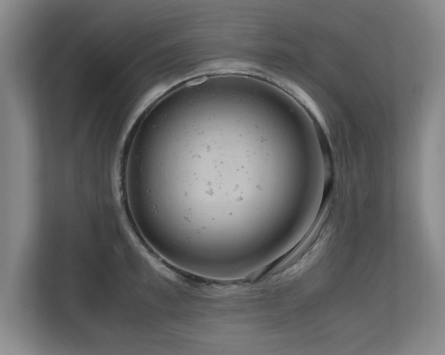 X0000110950997200906191247
