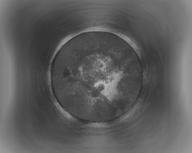 X0000110950998200906191247