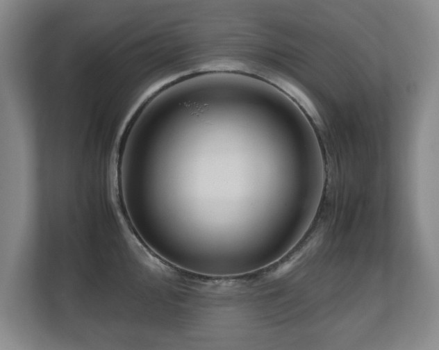 X0000110951000200906191247