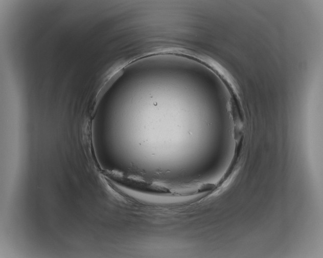 X0000110951001200906191247