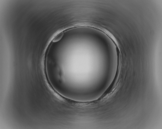 X0000110951005200906191247