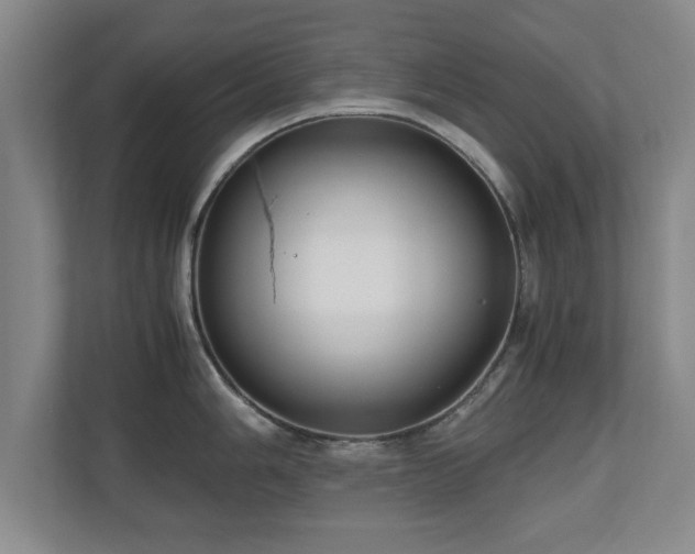 X0000110951006200906191247