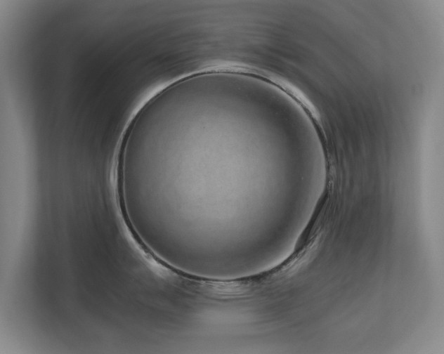 X0000110951007200906191247