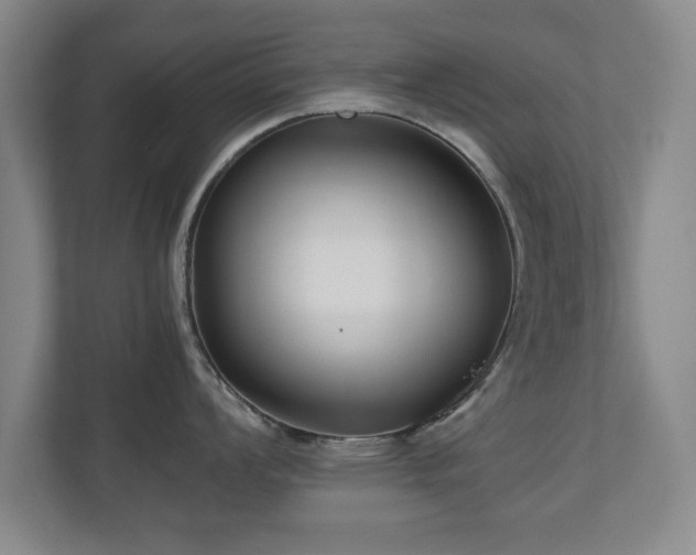 X0000110951008200906191247