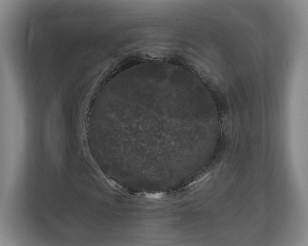 X0000110951009200906191246