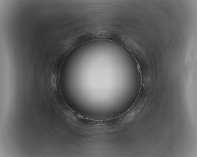 X0000110951010200906191246
