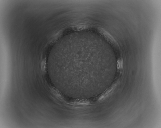 X0000110951011200906191246