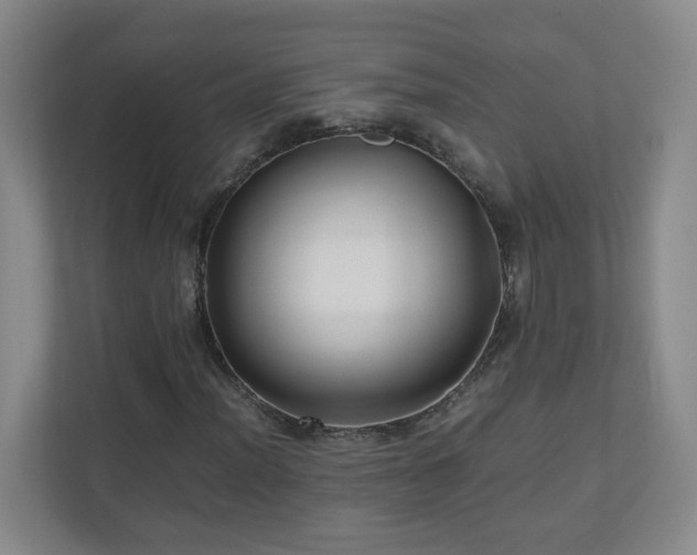 X0000110951012200906191246