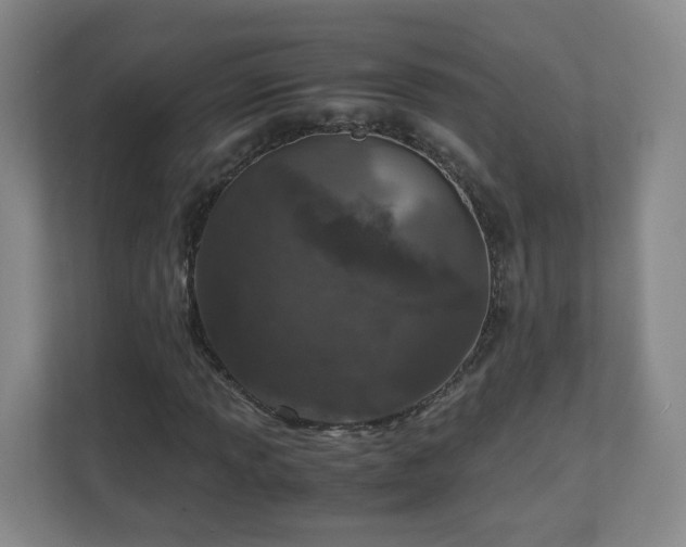 X0000110951013200906191246