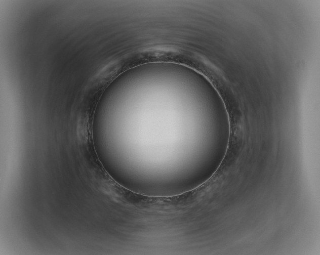 X0000110951014200906191246