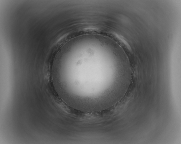 X0000110951015200906191246
