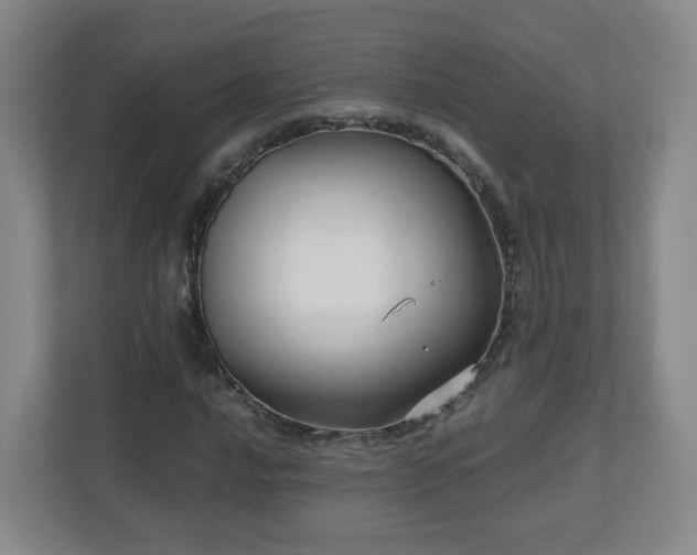 X0000110951016200906191246