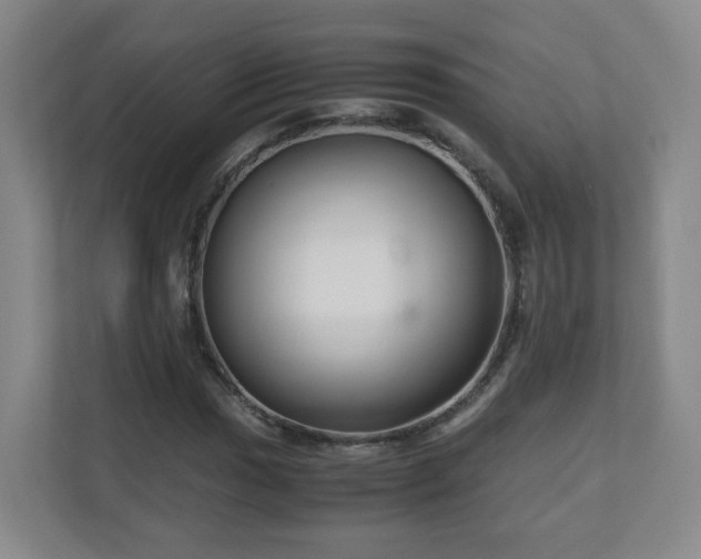 X0000110951017200906191246