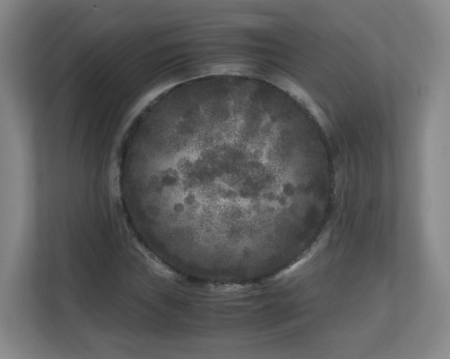 X0000110951019200906191246