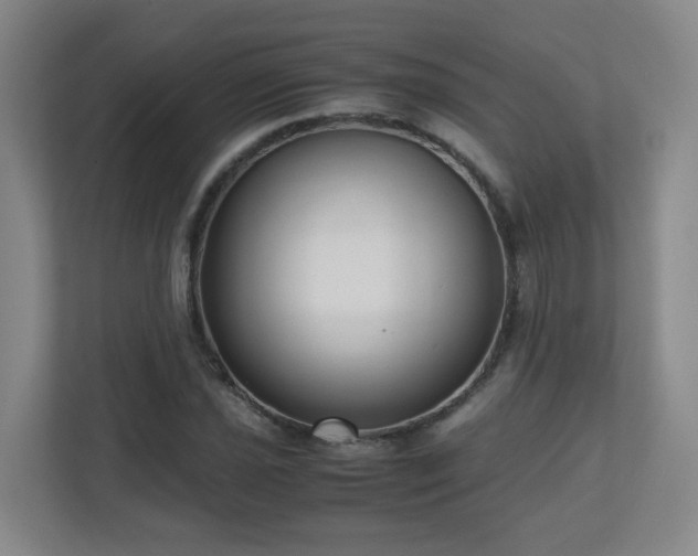 X0000110951021200906191246