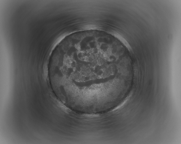 X0000110951023200906191246