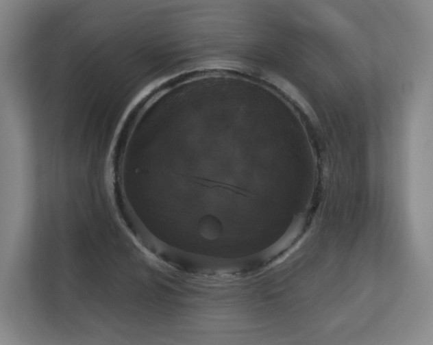 X0000110951024200906191246
