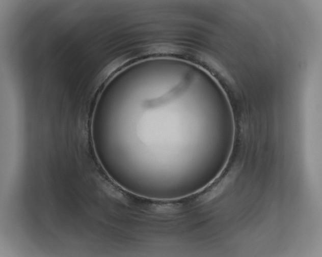 X0000110951025200906191246
