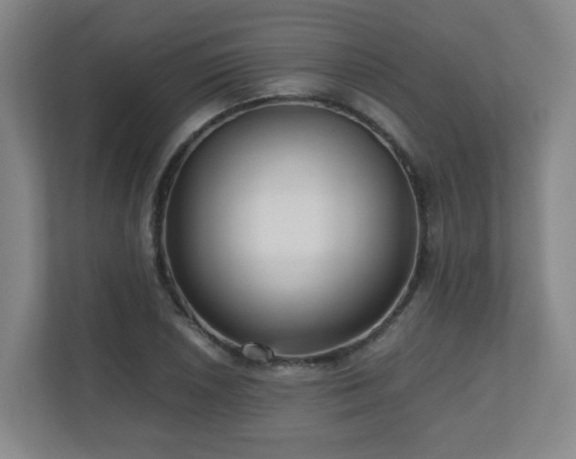 X0000110951026200906191246