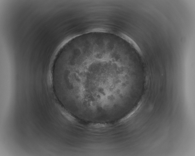 X0000110951027200906191246