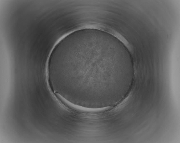 X0000110951028200906191246