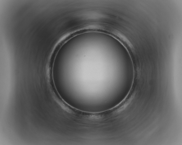 X0000110951029200906191246