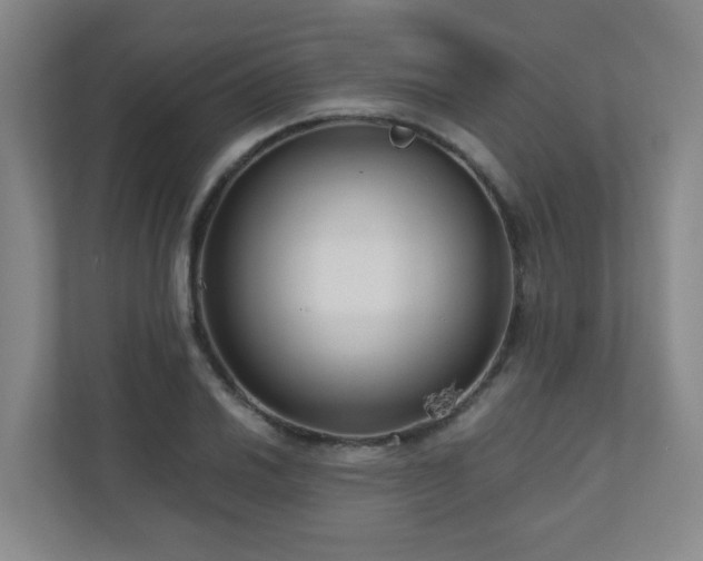 X0000110951030200906191246