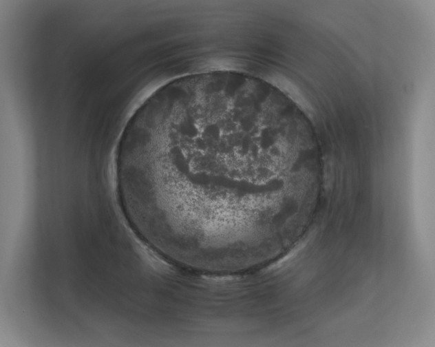 X0000110951031200906191246