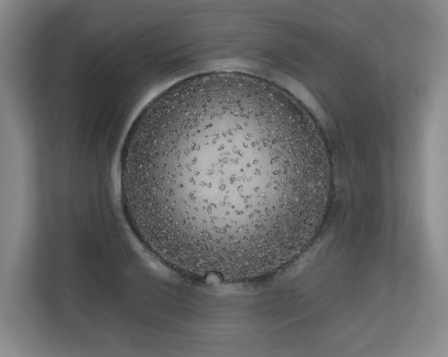 X0000110951032200906191246