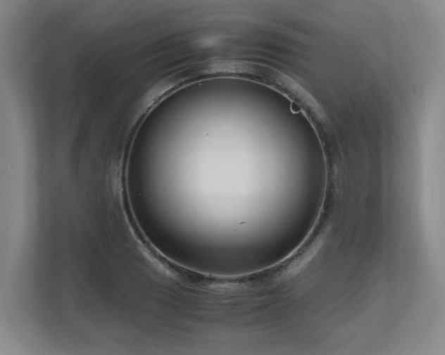 X0000110951033200906191246