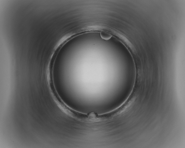X0000110951034200906191246