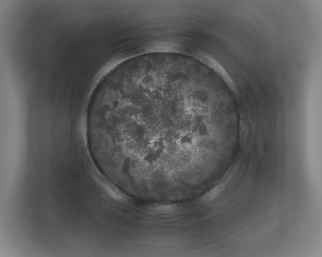 X0000110951035200906191246