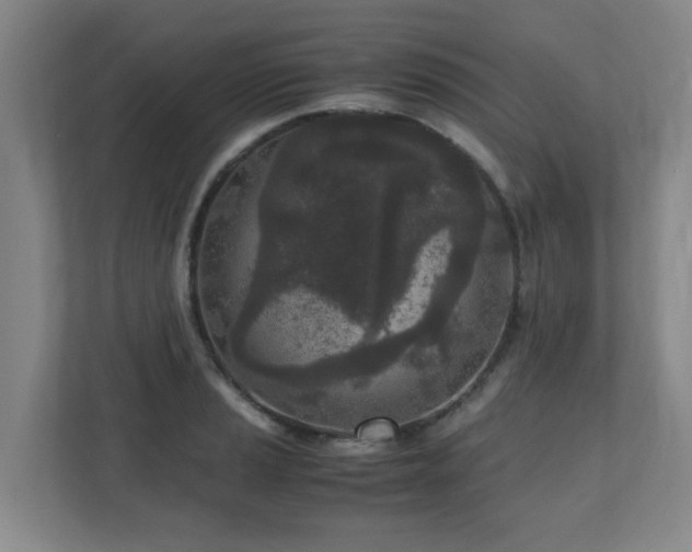 X0000110951037200906191246