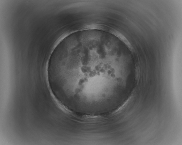 X0000110951039200906191246