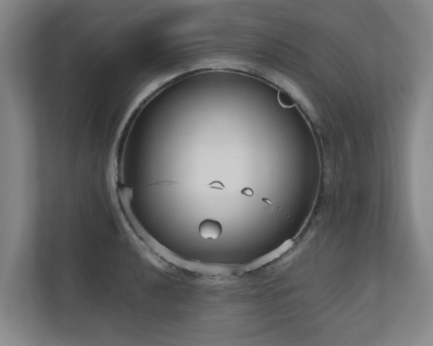 X0000110951040200906191246